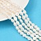 Natural Cultured Freshwater Pearl Beads Strands, Two Sides Polished, Grade 3A, Seashell Color, 7~8mm, Hole: 0.6mm, about 36~37pcs/strand, 13.54~13.82''(34.4~35.1cm)