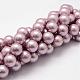 Rainbow Plated Shell Pearl Bead Strands BSHE-L025-8mm-M-2