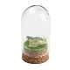 Natural Gemstone Nuggets Display Decoration with Glass Dome Cloche Cover DJEW-B009-03-2