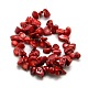 Natural Red Coral Beads Strands G-P041-03-3