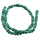 Synthetic Howlite Beads Strands TURQ-D063-13-2