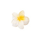 花の形のプラスチック爪ヘアクリップ  女性の女の子のためのヘアアクセサリー  ホワイト  40mm PW-WG52864-01-1