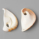 Natural Cowrie Shell Pendants SSHEL-N032-06-3