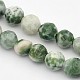 Fili di perle di diaspro spot verde naturale sfaccettate rotonde G-E302-057-4mm-1