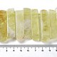 Chapelets de perles de quartz citron naturel G-L551B-18-4