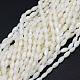 Brins de perles de coquillage naturel teint BSHE-E023-01C-1