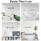 PVC Quotes Wall Sticker DIY-WH0200-090-3