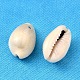 ナチュラルコウリーシェルペンダント  貝殻の形のチャーム  貝殻色  18~20x13~14x6~8mm  穴：2mm  約340個/500g BSHE-S049-2