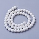 Natural Magnesite Beads Strands G-F592-03-10mm-2