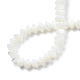 Coquille de trochid naturel / brins de perles de coquille de trocas SSHEL-N034-134-4
