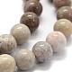 Natural Fossil Coral Beads Strands G-G763-12-10mm-3