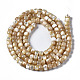 Chapelets de perles de coquille de trochid / trochus coquille SSHEL-S266-018B-02-2