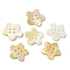 4 Hole Natural Freshwater Shell Buttons SHEL-K006-22-1
