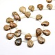 Natural Picture Jasper Beads Strands G-P063-142-2