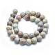 Natürliche Aqua Terra Jaspis Perlen Stränge G-N0128-48-12mm-2