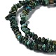 Natural African Turquoise(Jasper) Chip Beads Strands G-E271-59-4