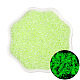 暗闇で光るガラスシードビーズ  ラウンド  緑黄  2.5mm  穴：1mm  約700個/袋 PW-WG72127-05-1