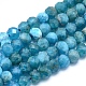Natural Apatite Beads Strands G-O172-04C-1