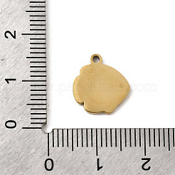 Подвески из эмалированной нержавеющей стали 304&nbsp;STAS-I335-06G