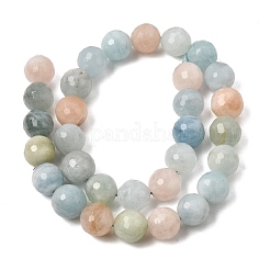 Abalorios de Morganita natural hebras&nbsp;GG-CBA0166-A01-12mm