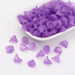 Прозрачные акриловые бусины&nbsp;PL622-C17