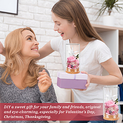 Пустая стеклянная банка&nbsp;AJEW-WH0083-46A