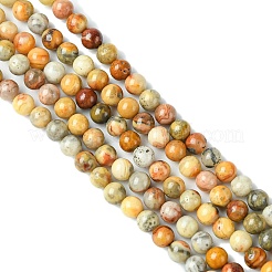 Натуральные сумасшедшие кружевные агатовые круглые бусины&nbsp;G-E334-4mm-20