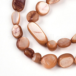 Нити бусин из натуральной белой ракушки&nbsp;SHEL-N036-21E