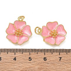 Colgantes de esmalte de latón&nbsp;KK-CBAD9DF-03G-F