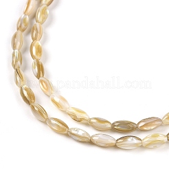 Нити бусин из натуральных пресноводных ракушек&nbsp;X-BSHE-G036-03