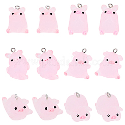 12шт 6 стиля подвески из полупрозрачной смолы&nbsp;RESI-LP0001-02