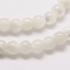 Натуральные белые бусины из ракушек G-N0190-11-2mm