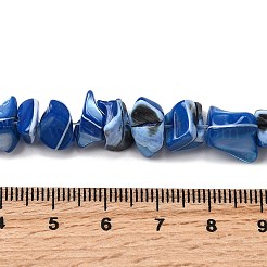 Нити бусин из натуральных трохоидных/трохус ракушек SHEL-B003-02G