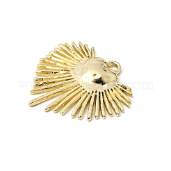 Подвески из сплава &nbsp;FIND-B060-06G