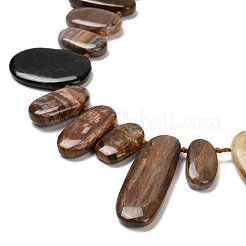 Природные окаменелое дерево бисер пряди G-C253-07