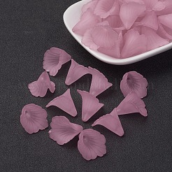 Transparentes bouchons acrylique de perles&nbsp;X-PL551-C10