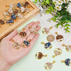 24 шт.&nbsp;FIND-AR0004-37