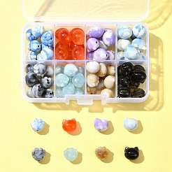 80шт 8 цвета двухцветные прозрачные/непрозрачные акриловые бусины&nbsp;TACR-FS0001-48