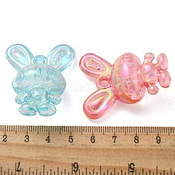 Прозрачные акриловые подвески PACR-Q008-23