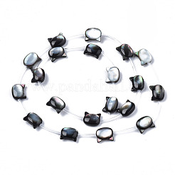 Нити бусин из натуральной черной ракушки для губ SSHEL-S278-124B