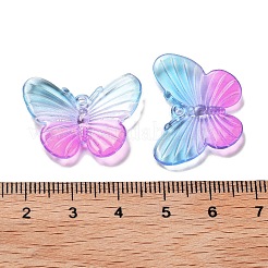 Прозрачные акриловые подвески OACR-H116-06D