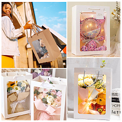 Geschenktüten aus Papier mit Sichtfenster und Seilgriffen&nbsp;ABAG-WH0040-14B