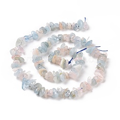 Естественно Morganite чип бусины пряди X-G-E271-84