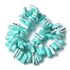 Gefärbte natürliche Trochus-Muschelperlenstränge&nbsp;X-SSHEL-C013-09M