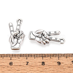 Сплавочные подвески тибетского стиля&nbsp;TIBE-N014-26AS