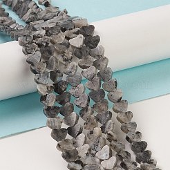 Натуральные нити бус из ларвикита G-M403-A12