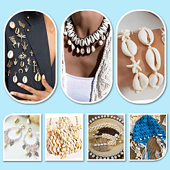 43 шт. бусины из натуральной ракушки каури&nbsp;SSHEL-PH0001-47