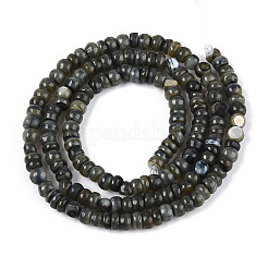 Натуральные пресноводные окрашенные бусы из ракушек SHEL-T020-29A