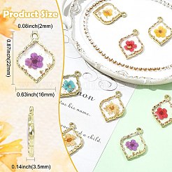 10 шт. подвески из эпоксидной смолы из цинкового сплава 5 цветов&nbsp;FIND-CJ0004-93