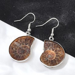 Ископаемые спиральные серьги EJEW-P153-01